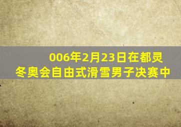 006年2月23日在都灵冬奥会自由式滑雪男子决赛中