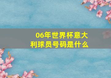 06年世界杯意大利球员号码是什么