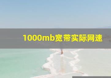 1000mb宽带实际网速