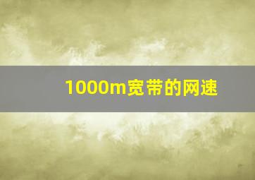 1000m宽带的网速