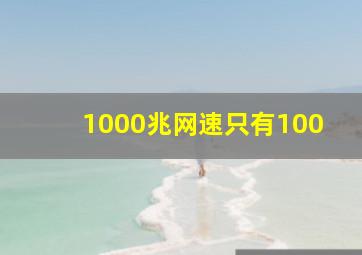 1000兆网速只有100