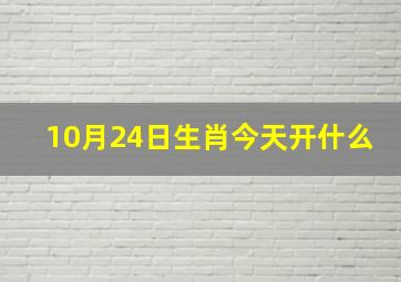 10月24日生肖今天开什么