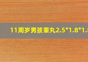 11周岁男孩睾丸2.5*1.8*1.8