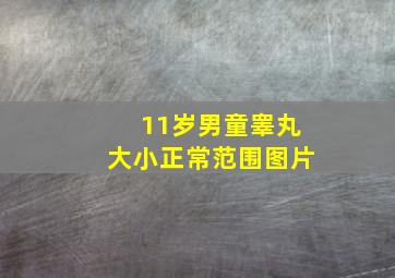 11岁男童睾丸大小正常范围图片