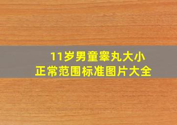 11岁男童睾丸大小正常范围标准图片大全