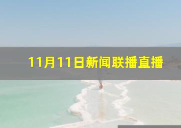 11月11日新闻联播直播