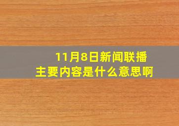 11月8日新闻联播主要内容是什么意思啊