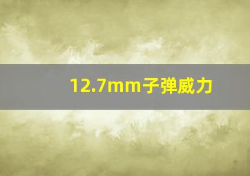 12.7mm子弹威力