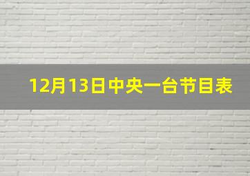 12月13日中央一台节目表