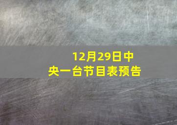 12月29日中央一台节目表预告