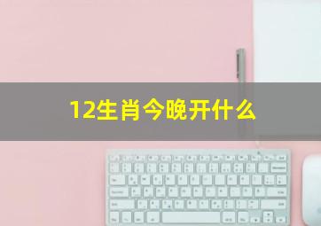 12生肖今晚开什么