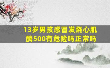 13岁男孩感冒发烧心肌酶500有危险吗正常吗