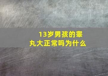 13岁男孩的睾丸大正常吗为什么