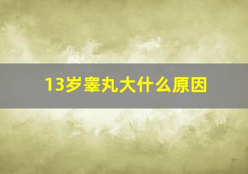 13岁睾丸大什么原因