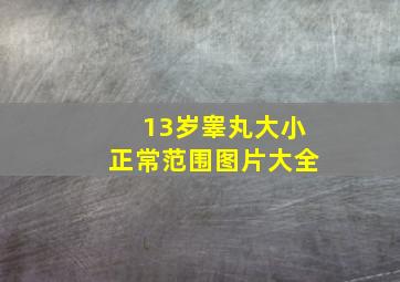 13岁睾丸大小正常范围图片大全