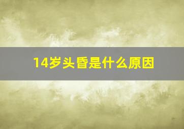 14岁头昏是什么原因