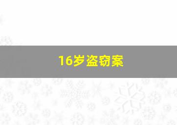 16岁盗窃案