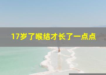 17岁了喉结才长了一点点