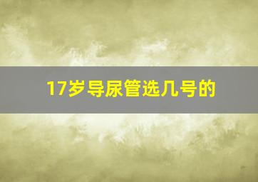 17岁导尿管选几号的