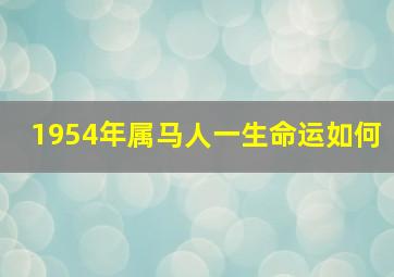 1954年属马人一生命运如何