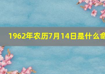 1962年农历7月14日是什么命