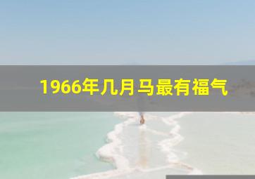 1966年几月马最有福气