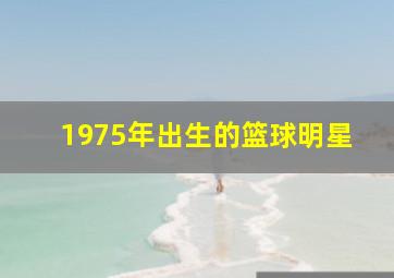 1975年出生的篮球明星