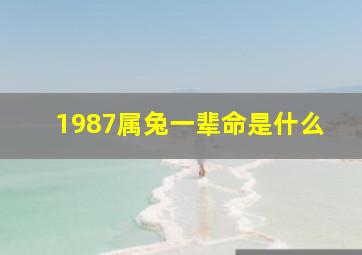 1987属兔一辈命是什么