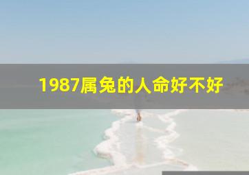 1987属兔的人命好不好