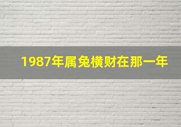 1987年属兔横财在那一年