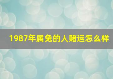 1987年属兔的人赌运怎么样