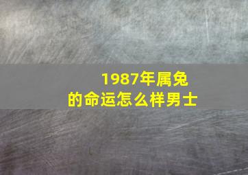 1987年属兔的命运怎么样男士