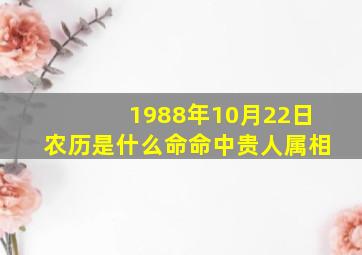 1988年10月22日农历是什么命命中贵人属相