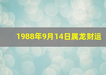 1988年9月14日属龙财运