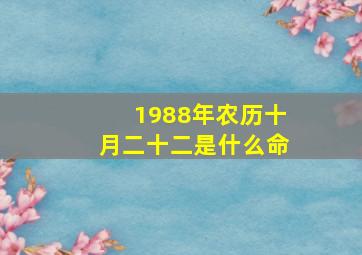 1988年农历十月二十二是什么命