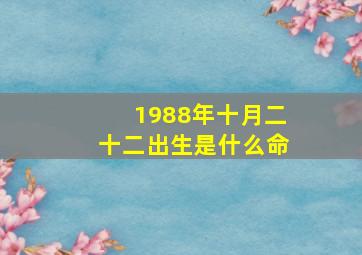 1988年十月二十二出生是什么命