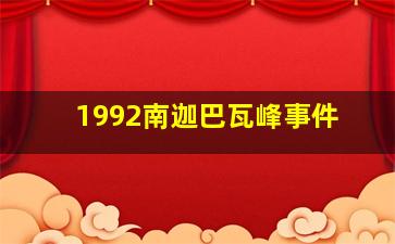 1992南迦巴瓦峰事件