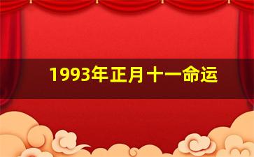 1993年正月十一命运