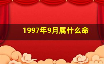 1997年9月属什么命