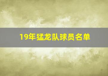 19年猛龙队球员名单