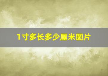 1寸多长多少厘米图片