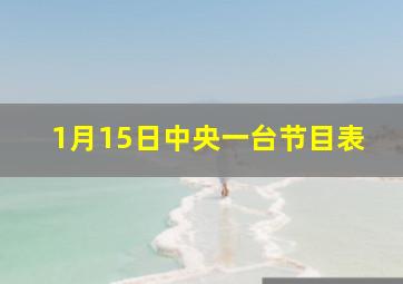 1月15日中央一台节目表