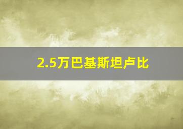 2.5万巴基斯坦卢比