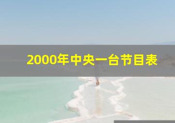 2000年中央一台节目表