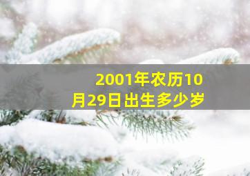 2001年农历10月29日出生多少岁