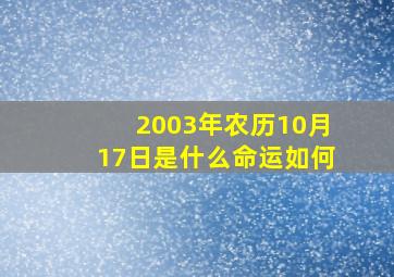 2003年农历10月17日是什么命运如何