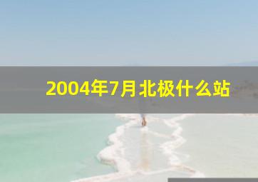 2004年7月北极什么站