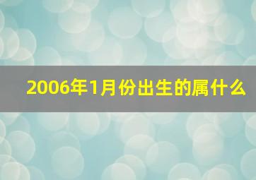 2006年1月份出生的属什么