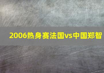 2006热身赛法国vs中国郑智