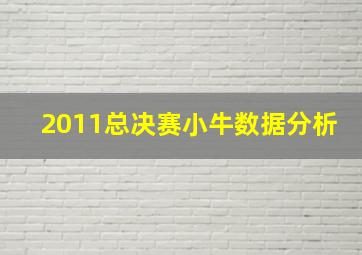 2011总决赛小牛数据分析